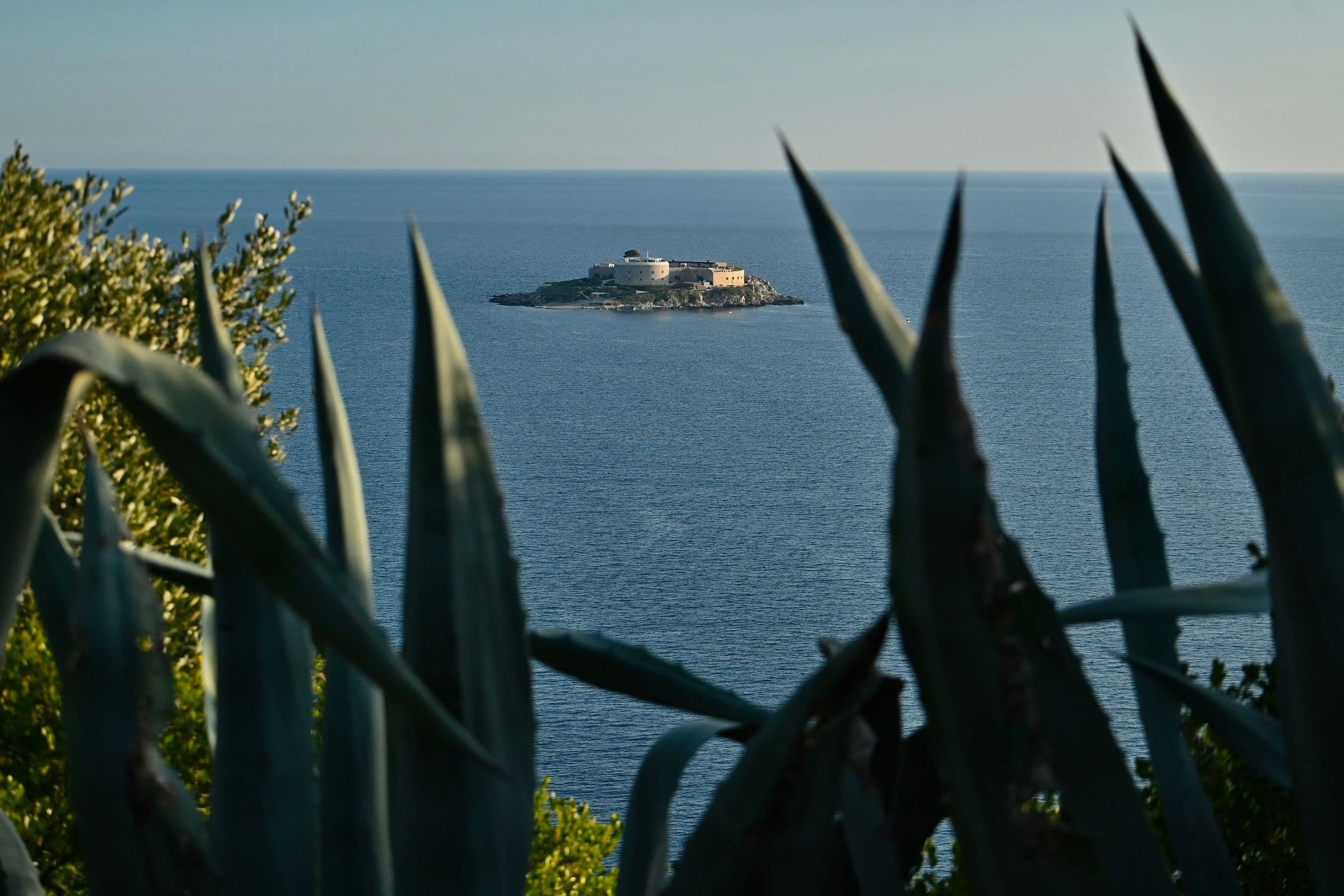 Mamula Island seen from the coast through Mediterranean vegetation